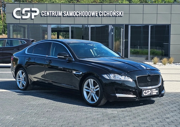 Jaguar XF cena 39900 przebieg: 91101, rok produkcji 2016 z Środa Śląska małe 781